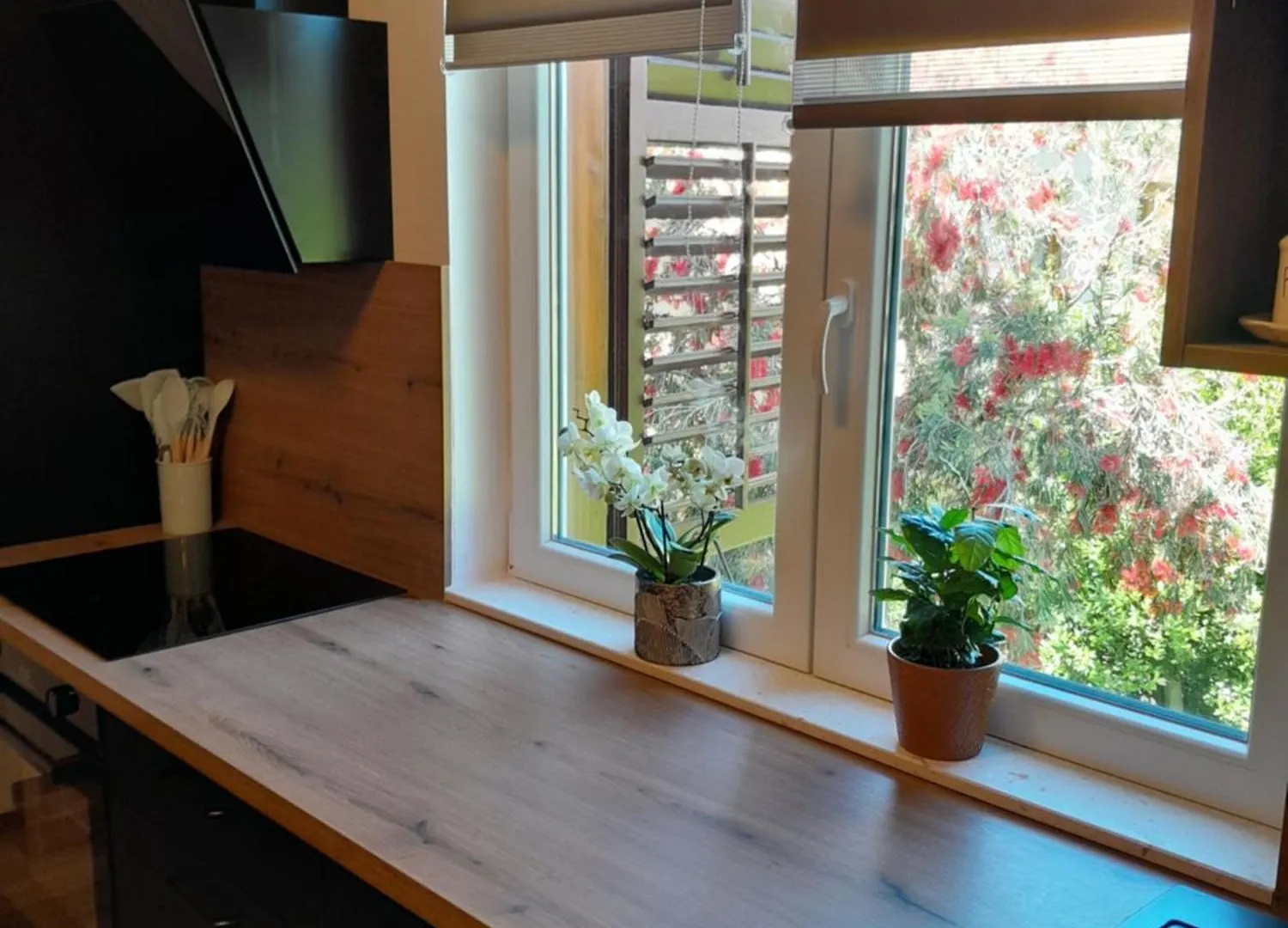 Apartments Rozic Rab Town