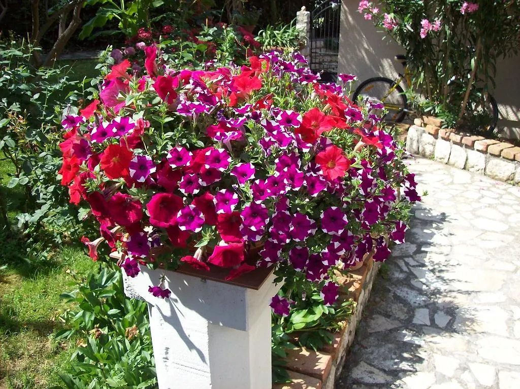 Apartments Rozic Rab Town Croatia